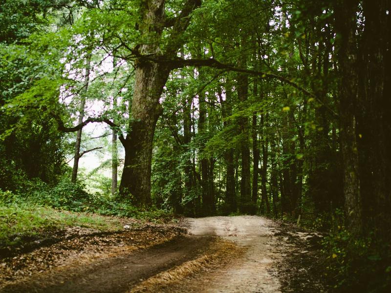 cookies screenshot 2